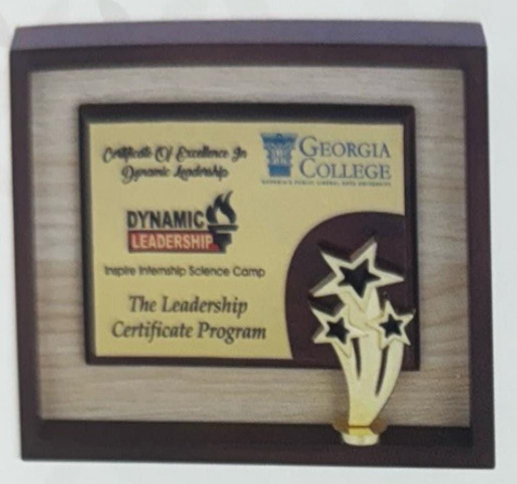 Georgia College Certificate of Excellence
